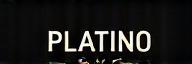 Logo Platino Home